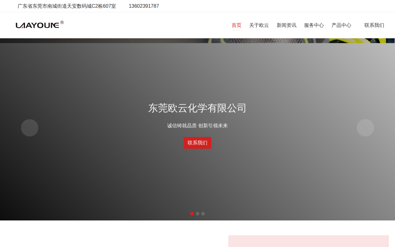 laayounechem.com 截图
